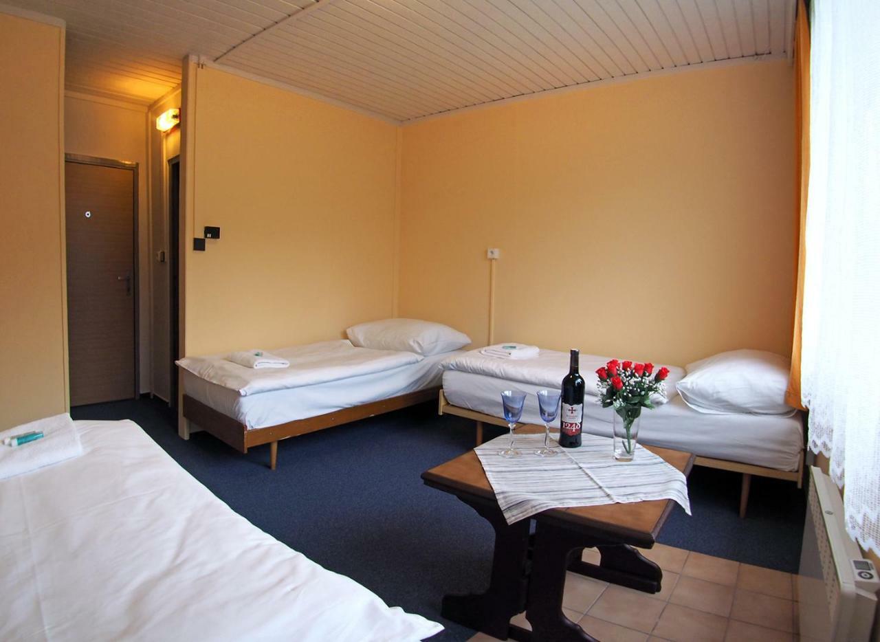 Pod Javorem Hotel Velké Karlovice Buitenkant foto