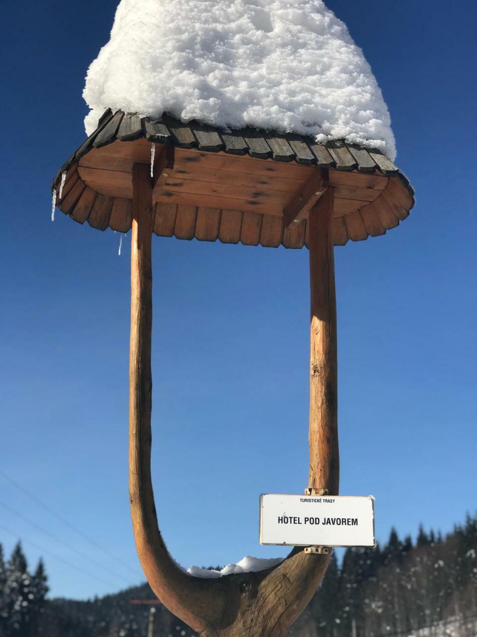 Pod Javorem Hotel Velké Karlovice Buitenkant foto